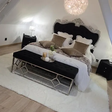 Le Cocoon De Choupette