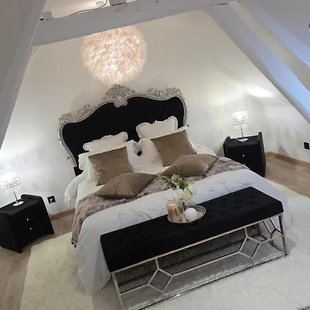 Le Cocoon De Choupette